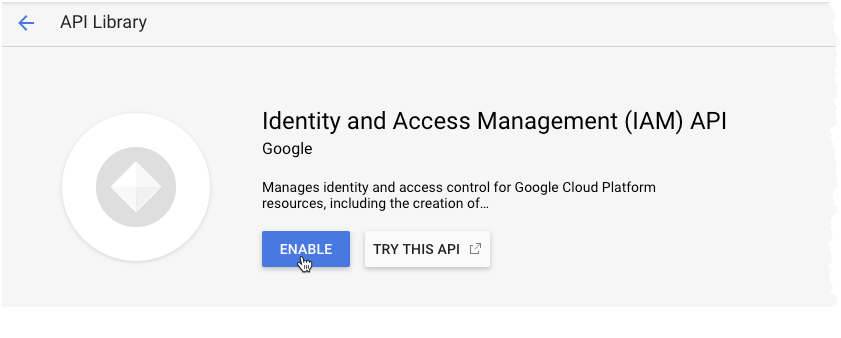 gcp_edit_iam_api.png
